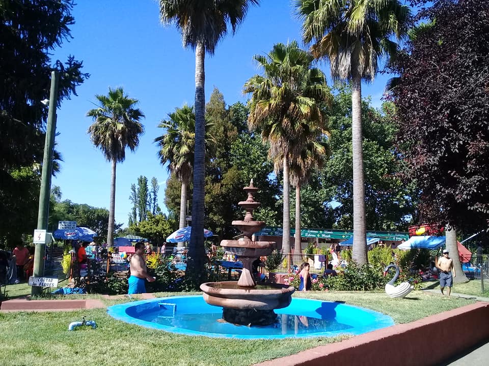 Fuente y jardines con palmeras del complejo