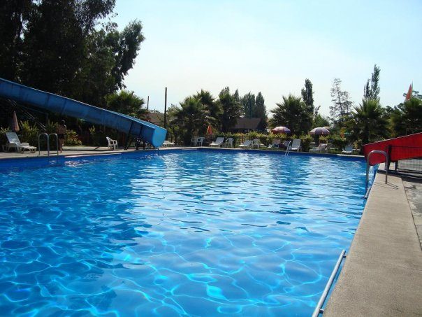 Piscina con tobogán azul rodeada de árboles
